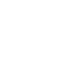 Elessar Psychiatry